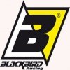  BLACKBIRD Paski (komplet naklejek) do oklejania kół Racing kolor zielony